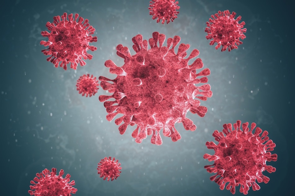 New variants of human metapneumovirus surge in Spain post-COVID