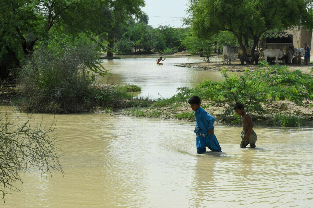 NDMA issues Casualty Report over countrywide Rain spell | Baaghi TV