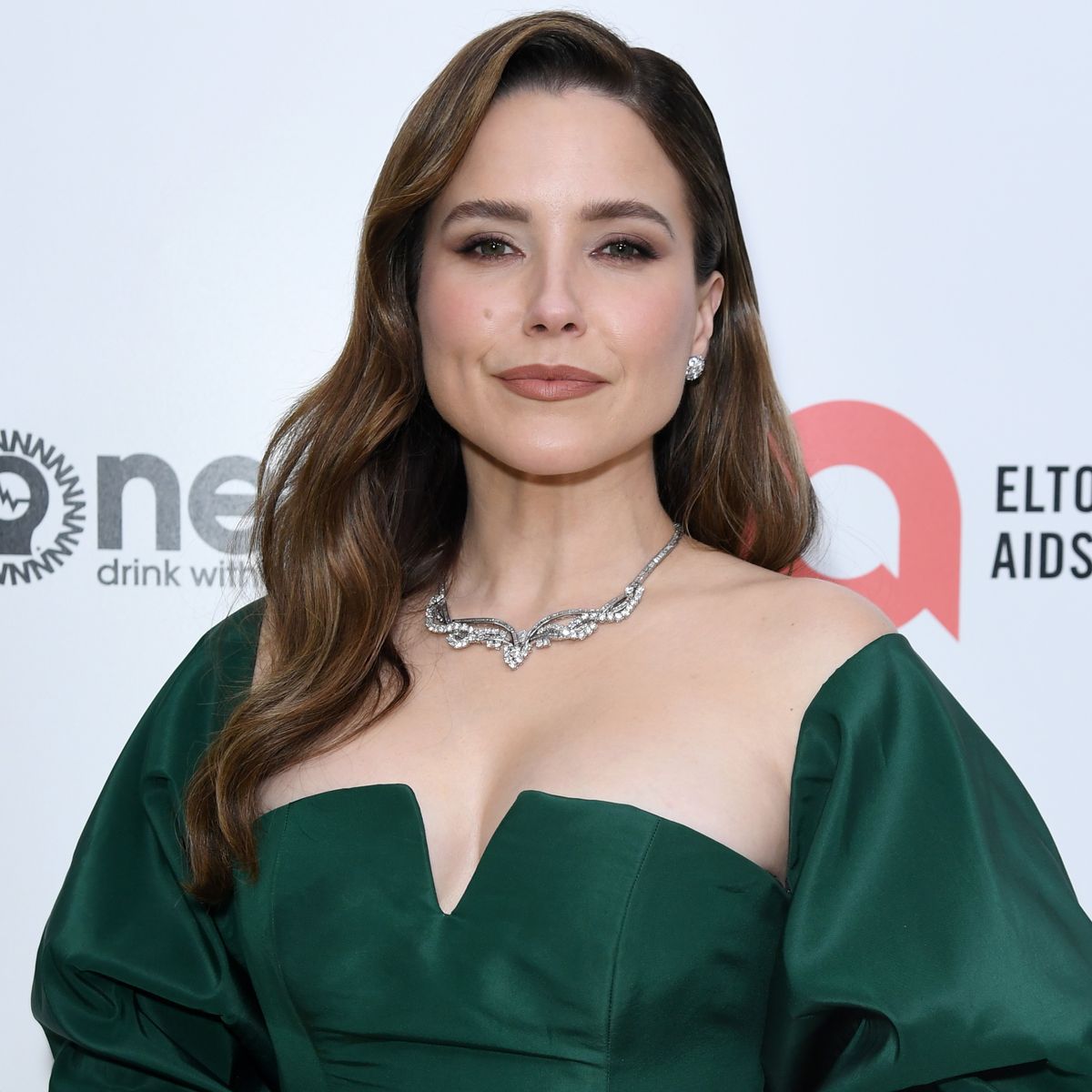 Sophia Bush, Grant Hughes announce divorce