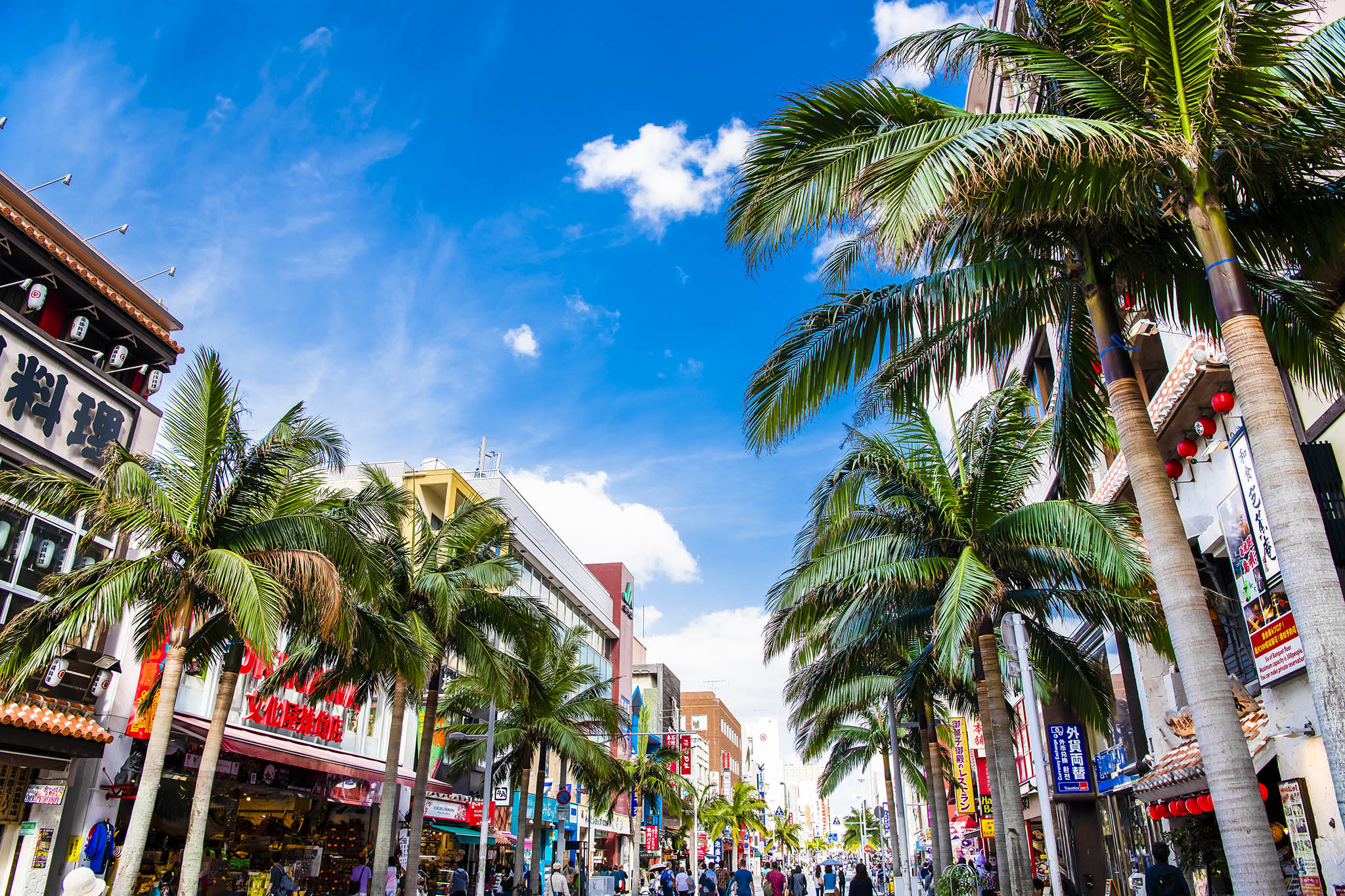 Unveiling the Secrets of Blue Zones: Lessons from Okinawa | Baaghi TV
