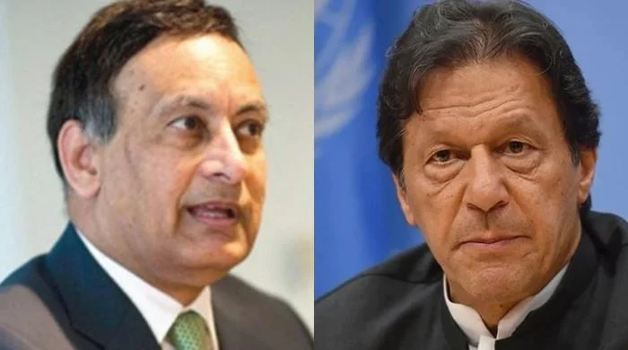 Imran Khan’s Future in Doubt, Bilawal Bhutto Employing Brilliant Strategy: Hussain Haqqani