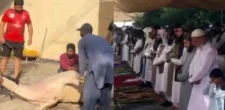 Eid-ul-Adha is being celebrated with religious fervor and sacrifices are being made | Baaghi TV