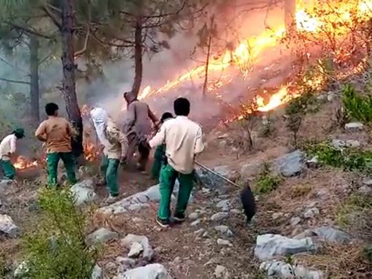 The Summer Fires | Baaghi TV