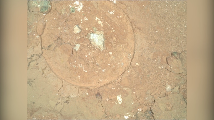 Mysterious green spots seen on Mars raises new theory about life on Red Planet