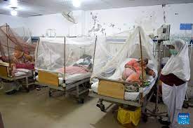 The Looming Threat of Dengue – Warning Signs for Pakistan