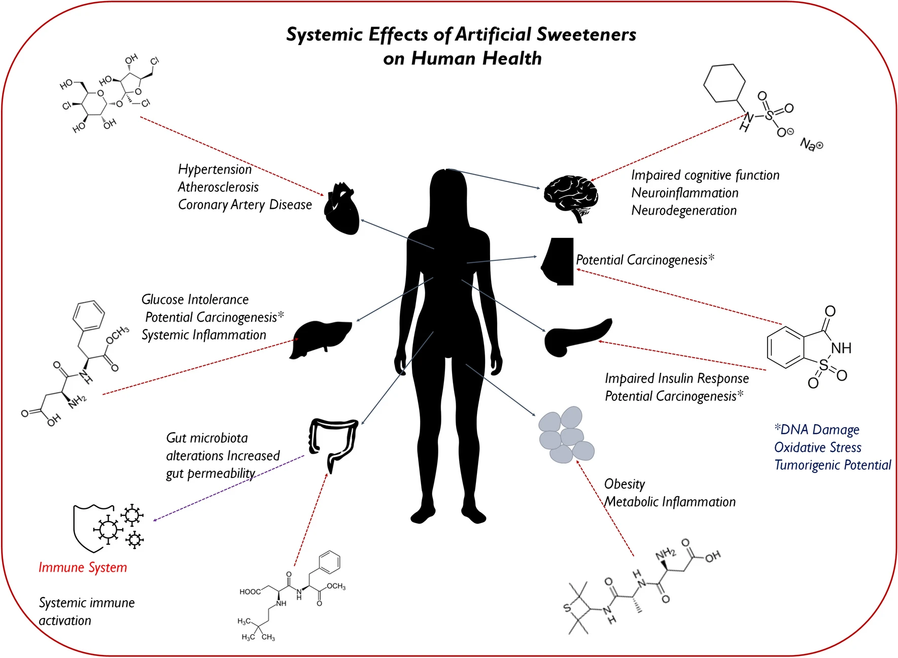 New Review Examines Possible Link Between Artificial Sweeteners, Gut Health and Metabolism | Baaghi TV