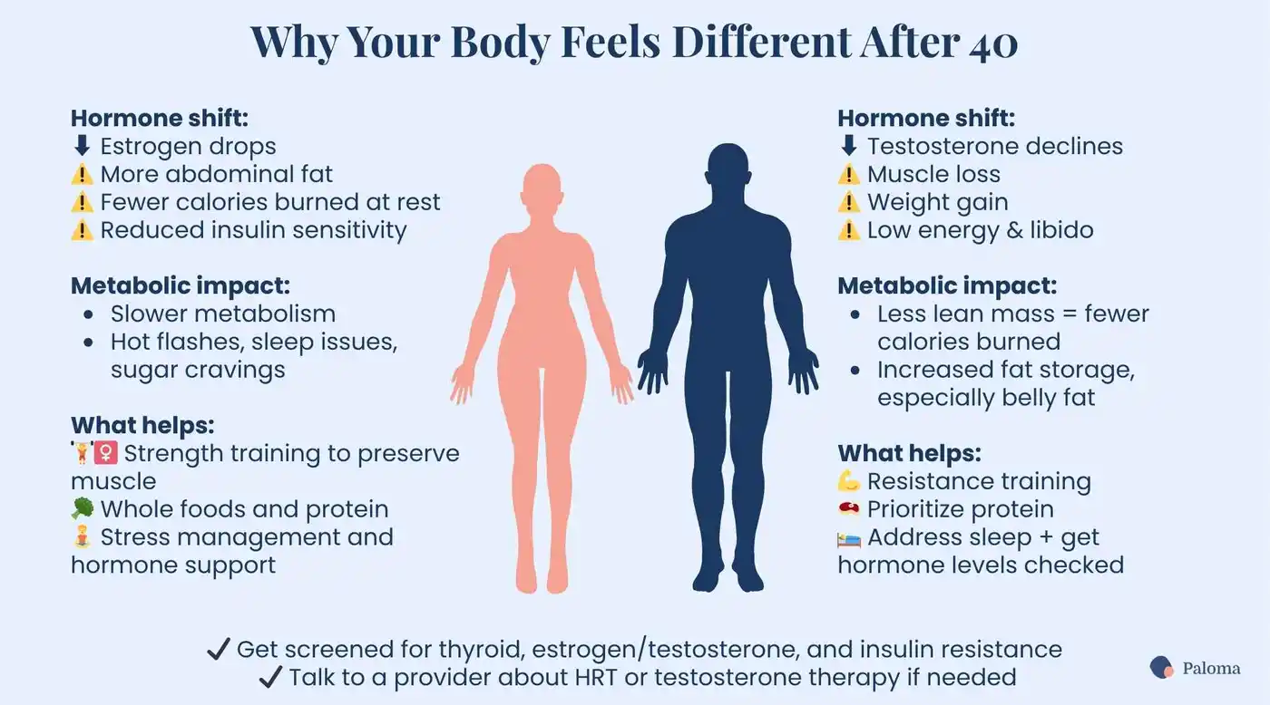 Why Your Metabolism Slows After 40 — and What Helps | Baaghi TV 