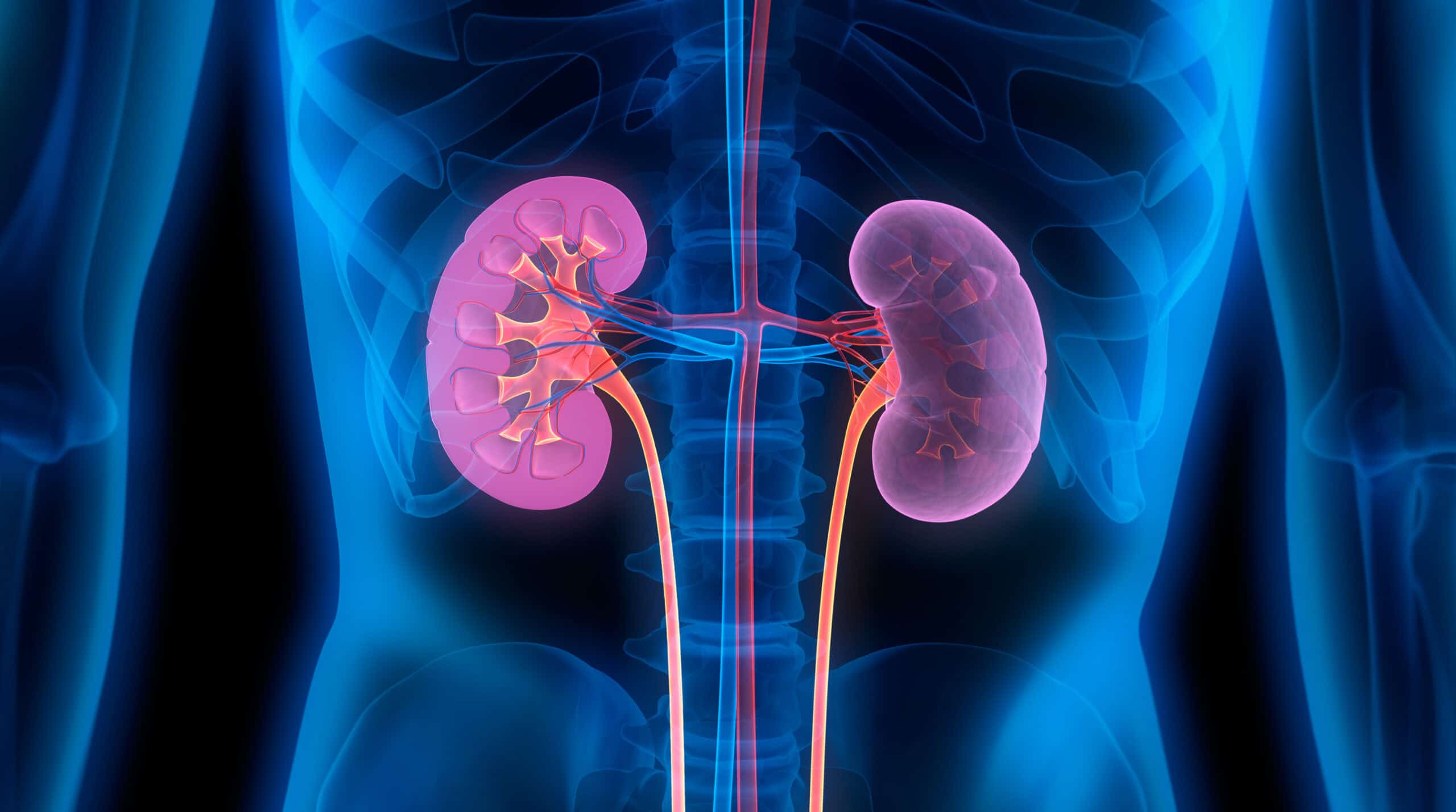 Adequate Hydration, Healthy Lifestyle Can Help Reduce Kidney Disease Risk, Says Herbalist