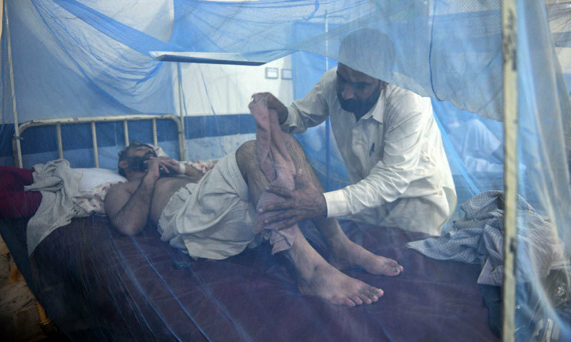 Peshawar Records Sporadic Dengue Cases Amid Data Concerns