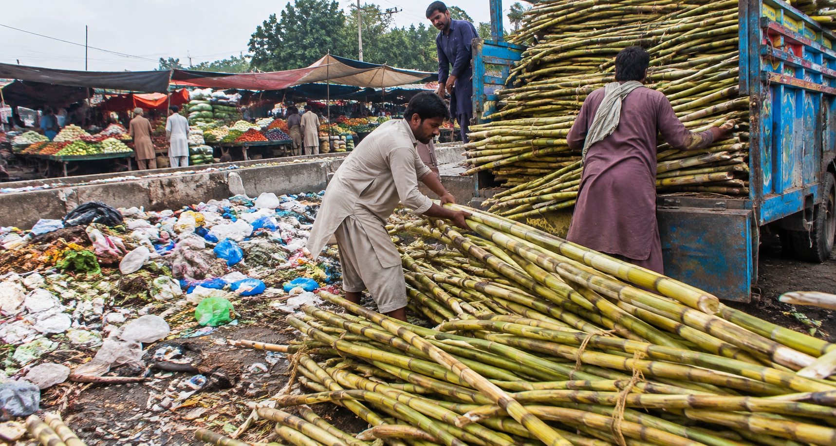 Islamabad | Sugarcane Loading Near Garbage Raises Hygiene Concerns | Baaghi TV