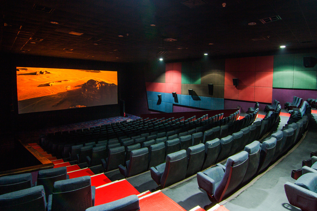 Regional Cinema Culture Faces Continued Decline in Pakistan | Baaghi TV