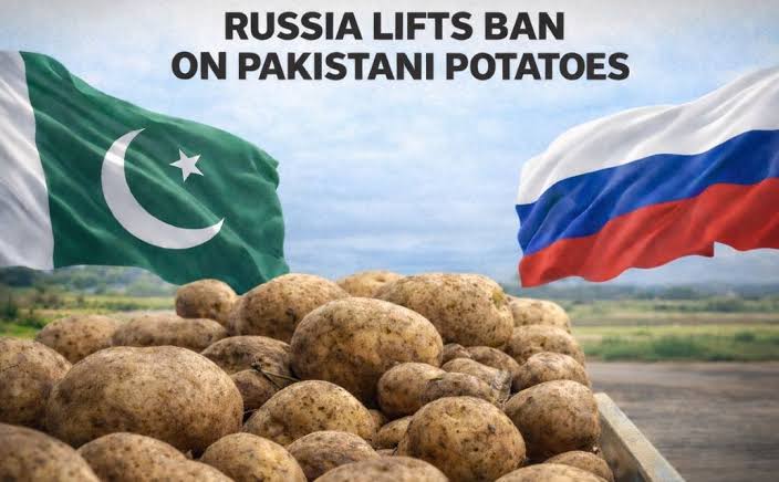 Russia Reopens Market to Pakistani Potatoes, Clearing 101 Exporters