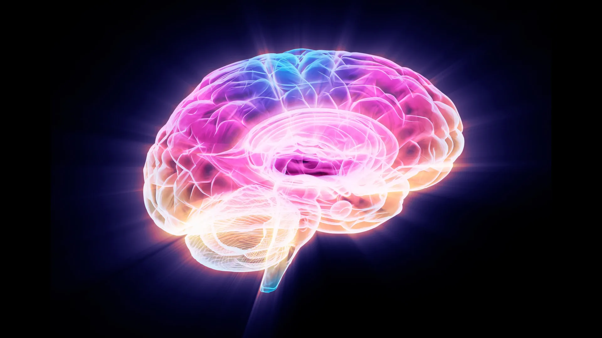 Youth-Linked Protein May Restore Immune Function in Aging Brain